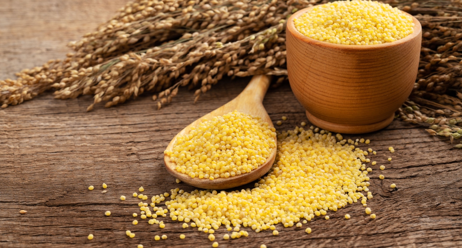 yellow Millet